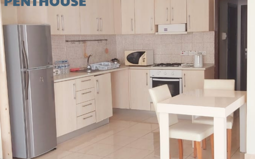 SAKARYA BÖLGESİNDE SATILIK 2+1 PENTHOUSE